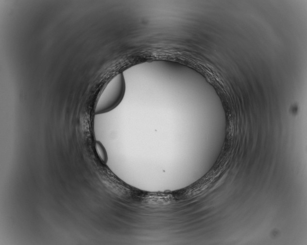 X0000101200571200806270832