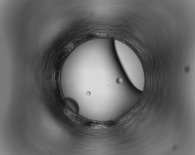 X0000101200572200806270832