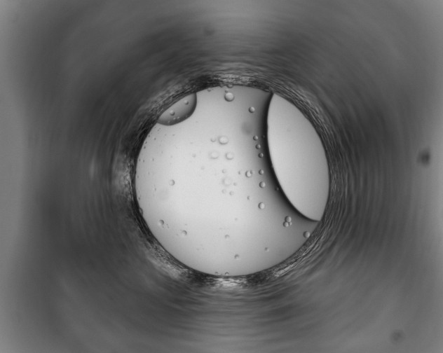 X0000101200573200806270832