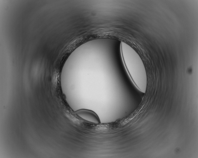 X0000101200574200806270832