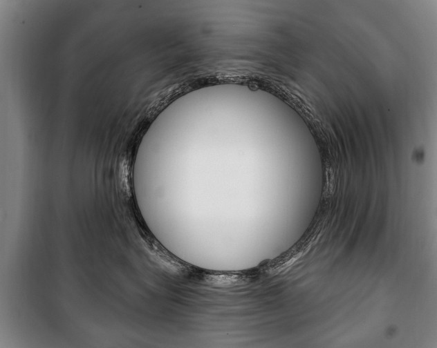 X0000101200575200806270832