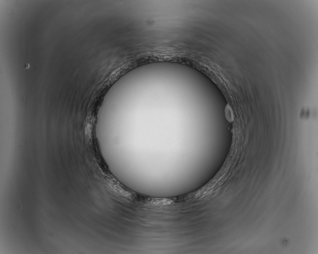 X0000101200576200806270832
