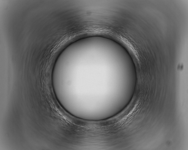 X0000101200577200806270832