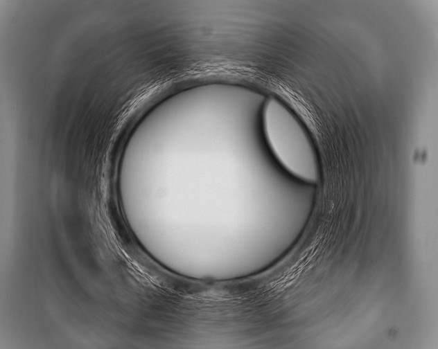 X0000101200578200806270832