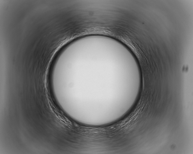 X0000101200579200806270832
