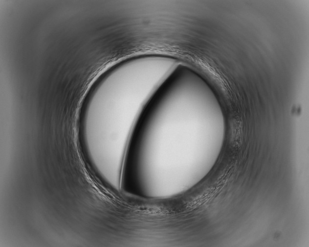X0000101200580200806270832