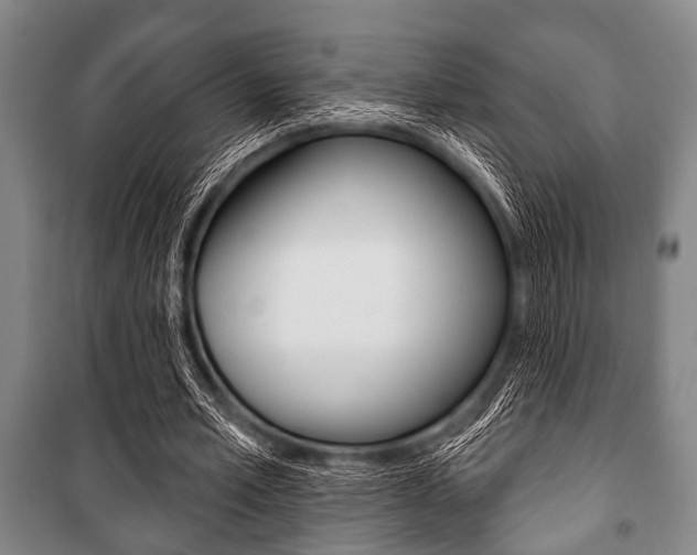 X0000101200581200806270832