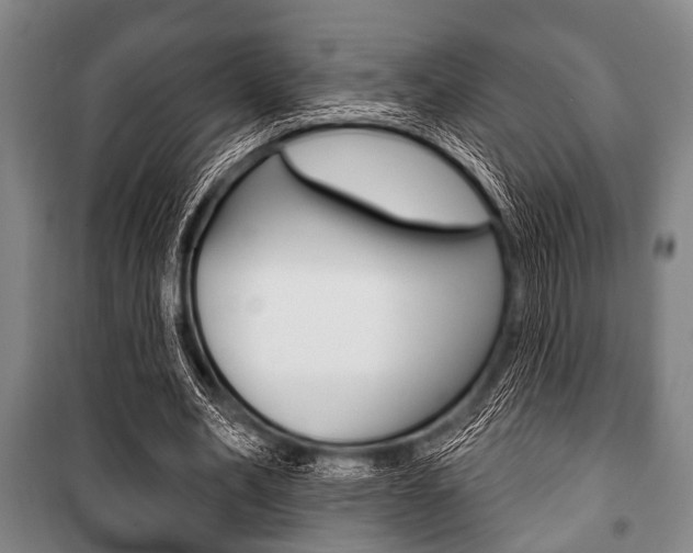 X0000101200582200806270832