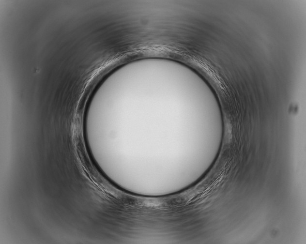 X0000101200583200806270832