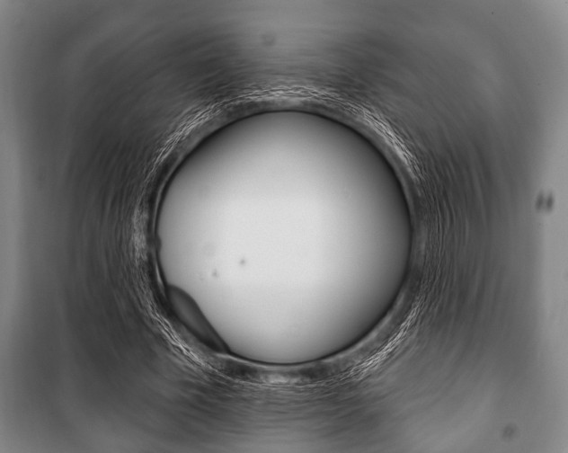 X0000101200585200806270831