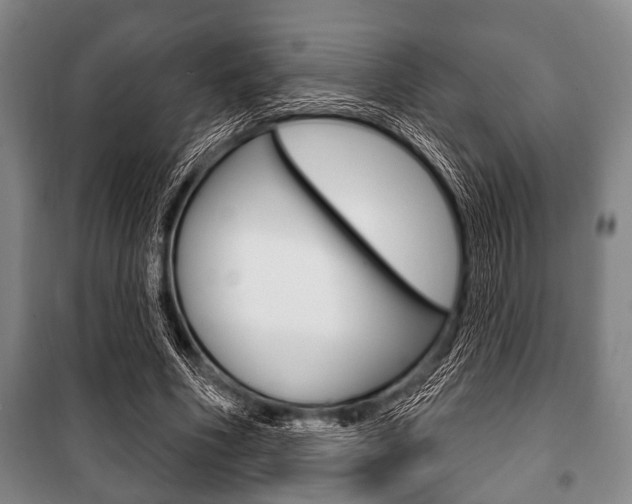 X0000101200586200806270831