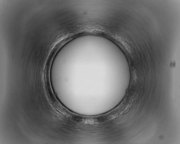X0000101200587200806270831