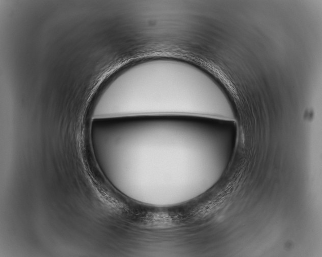 X0000101200588200806270831