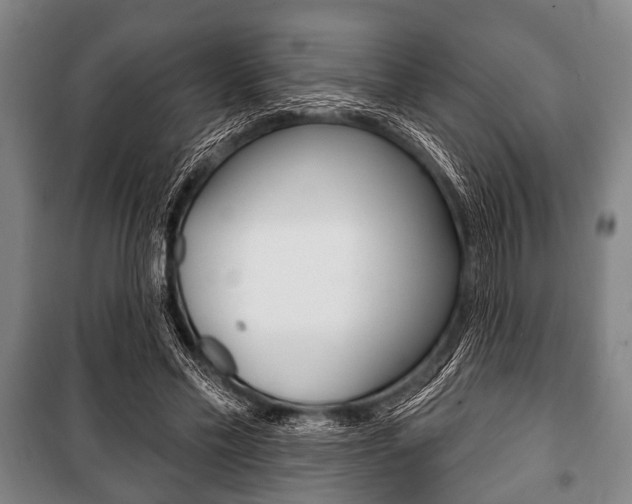 X0000101200589200806270831