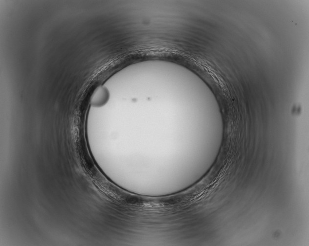 X0000101200591200806270831