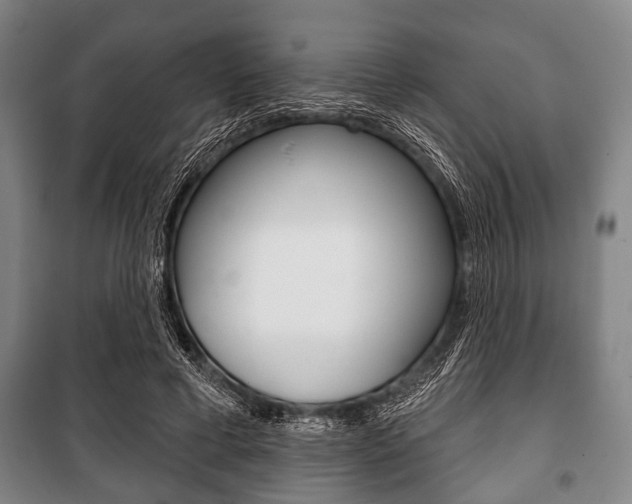 X0000101200593200806270831