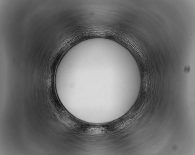 X0000101200595200806270831