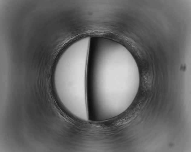 X0000101200596200806270831