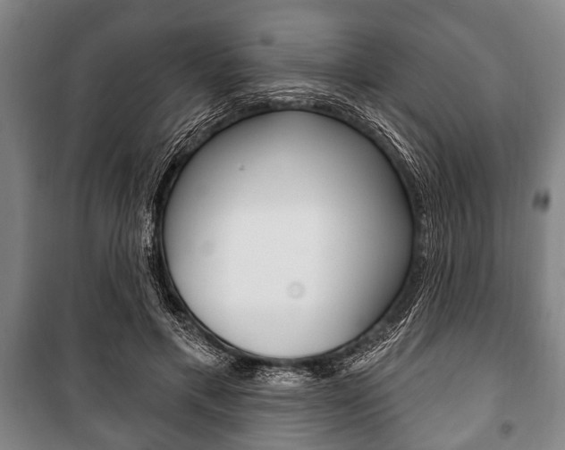 X0000101200597200806270831