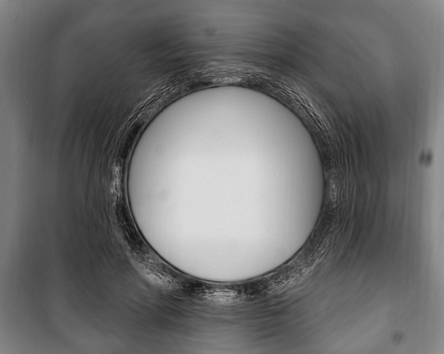 X0000101200598200806270831