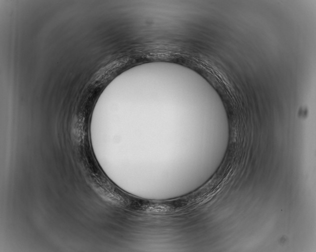 X0000101200599200806270831