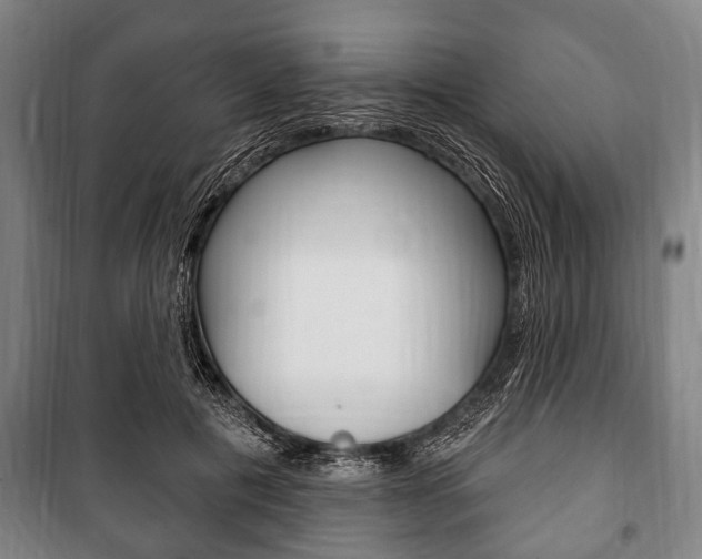X0000101200601200806270831