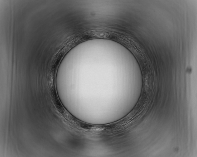X0000101200602200806270831