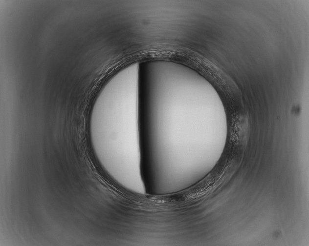 X0000101200604200806270831