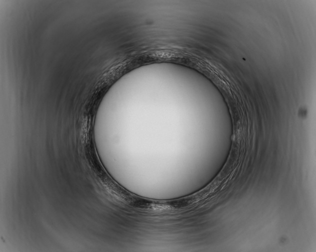 X0000101200605200806270831