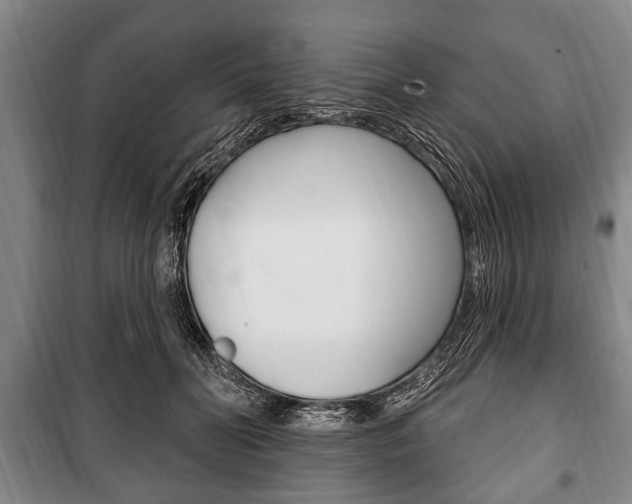 X0000101200606200806270831