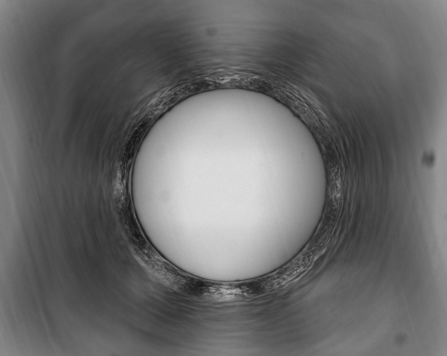 X0000101200607200806270831