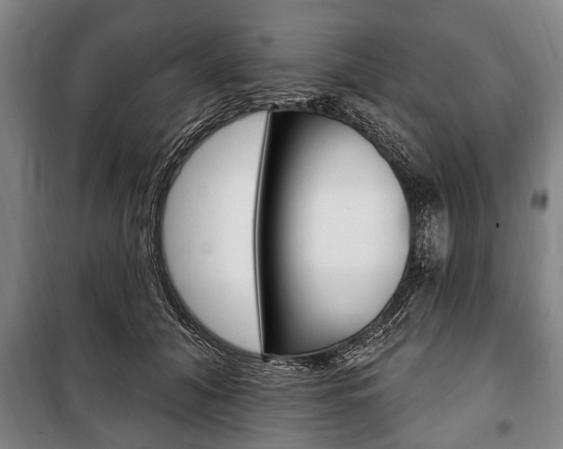 X0000101200608200806270831