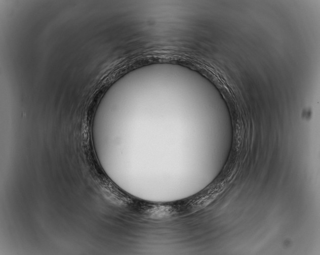 X0000101200609200806270831