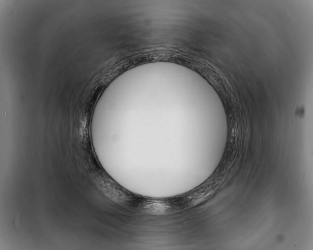 X0000101200610200806270831
