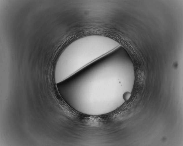 X0000101200612200806270831
