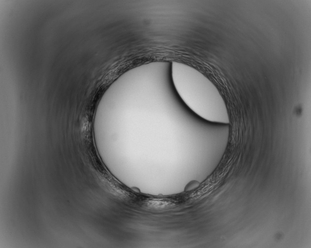 X0000101200614200806270831