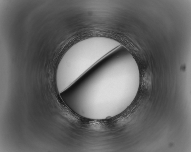 X0000101200616200806270831