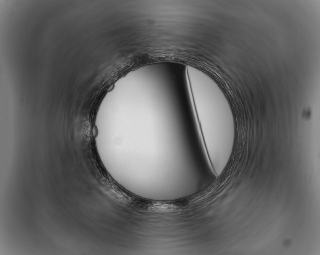 X0000101200617200806270831
