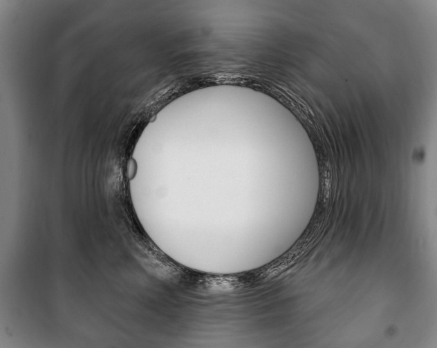 X0000101200618200806270831