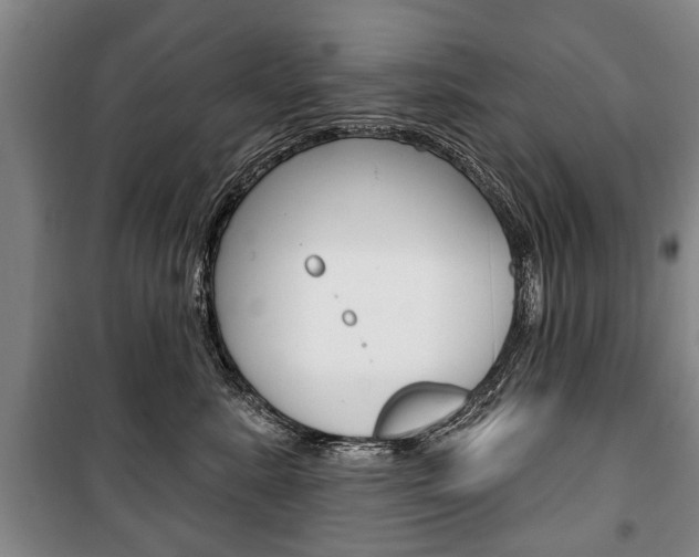 X0000101200619200806270831