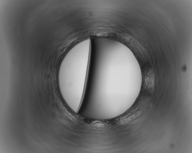 X0000101200620200806270831