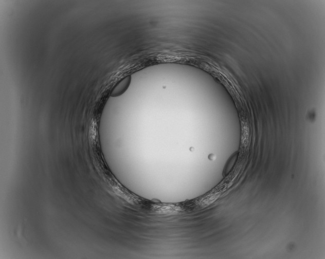 X0000101200621200806270831