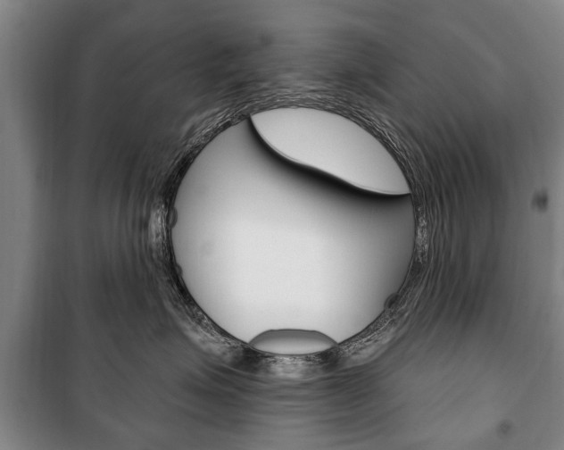 X0000101200623200806270831
