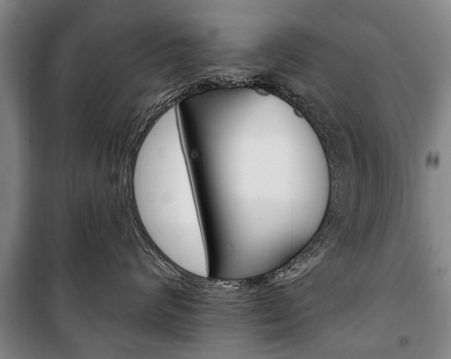 X0000101200624200806270831