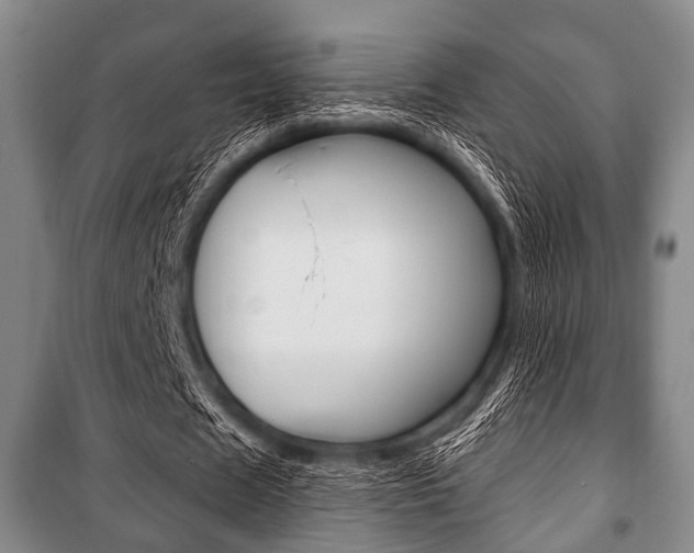 X0000101200625200806270830