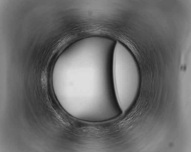 X0000101200626200806270830