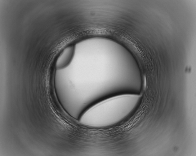 X0000101200627200806270830