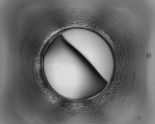 X0000101200628200806270830