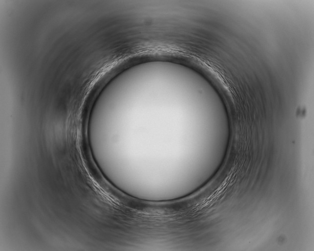 X0000101200629200806270830