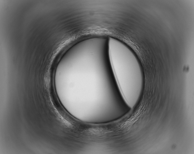 X0000101200630200806270830